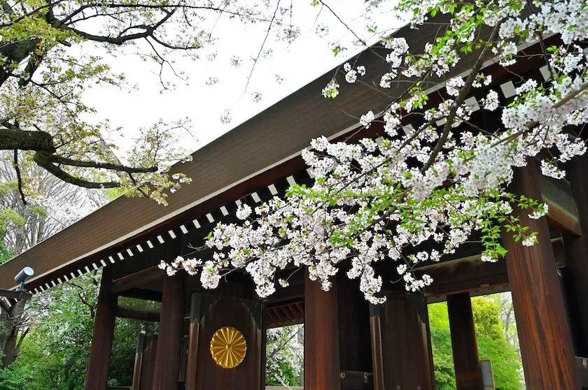 春のある日に、内苑から神門を望む